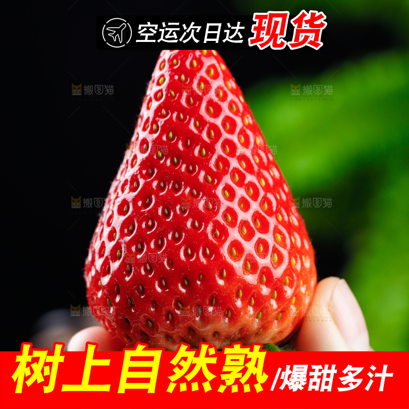 深底上的丹东草莓
