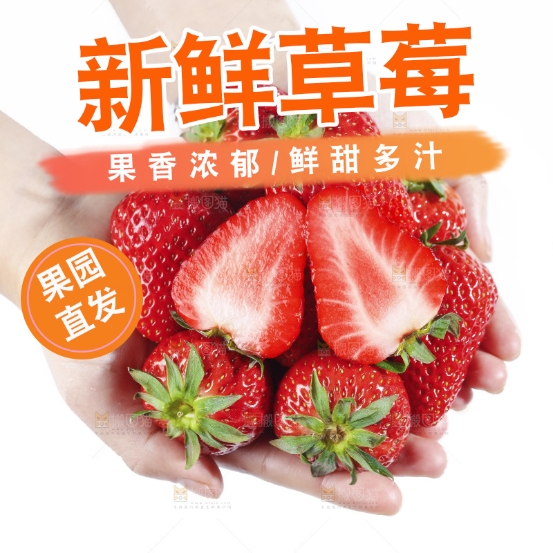 手里拿着丹东草莓