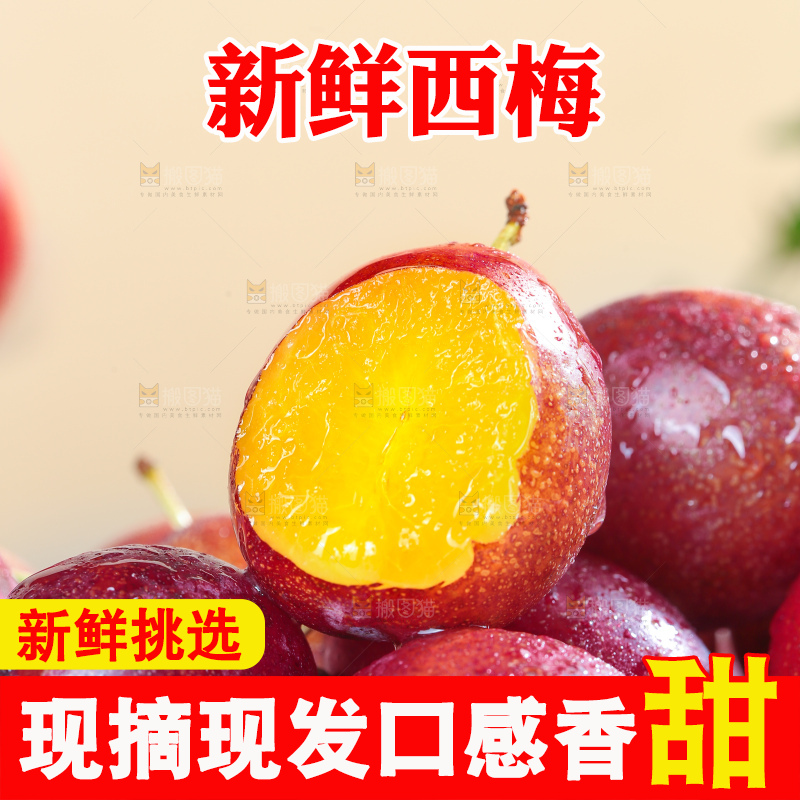 浅底上的澳洲西梅