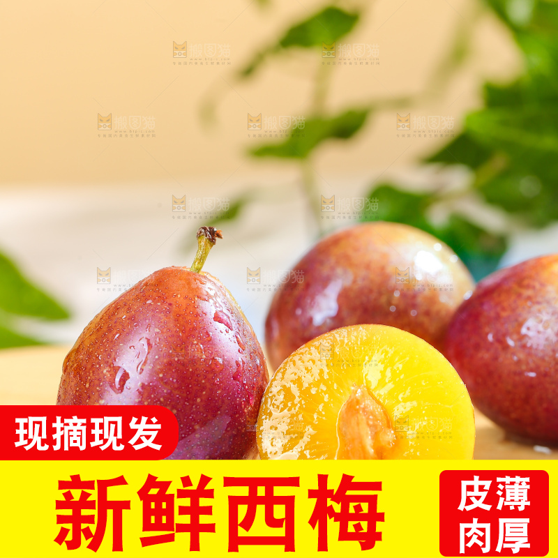 浅底上的澳洲西梅