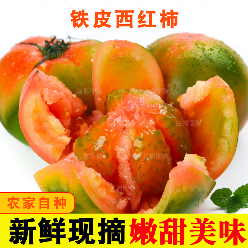 白底上的铁皮西红柿