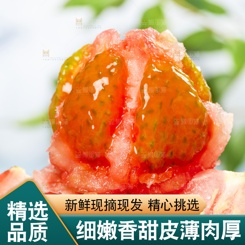 浅底上的铁皮西红柿