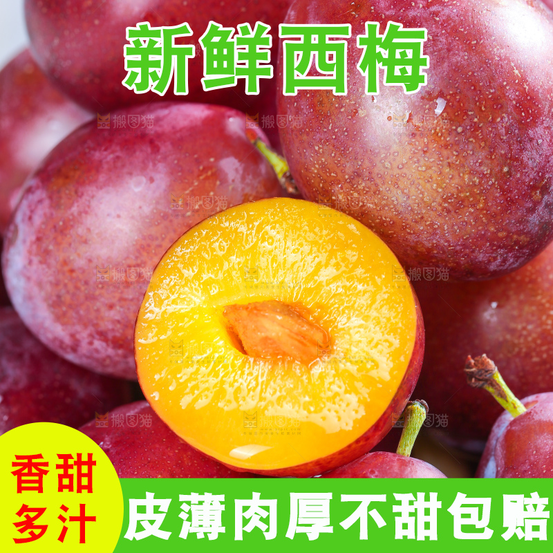浅底上的澳洲西梅