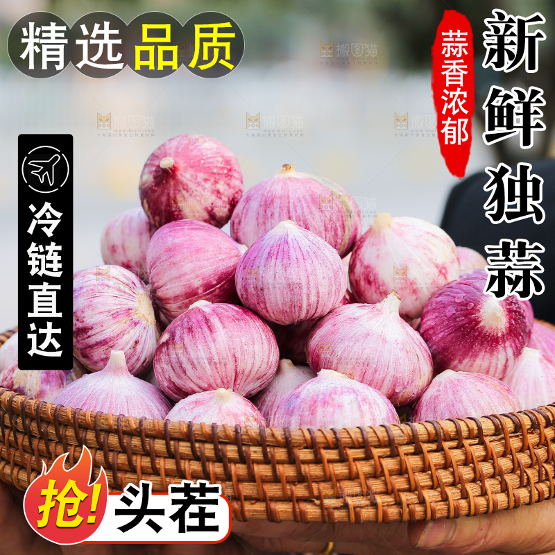 手里拿着紫皮独头蒜
