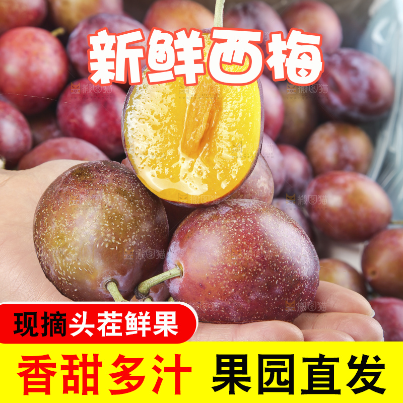 深底上的澳洲西梅