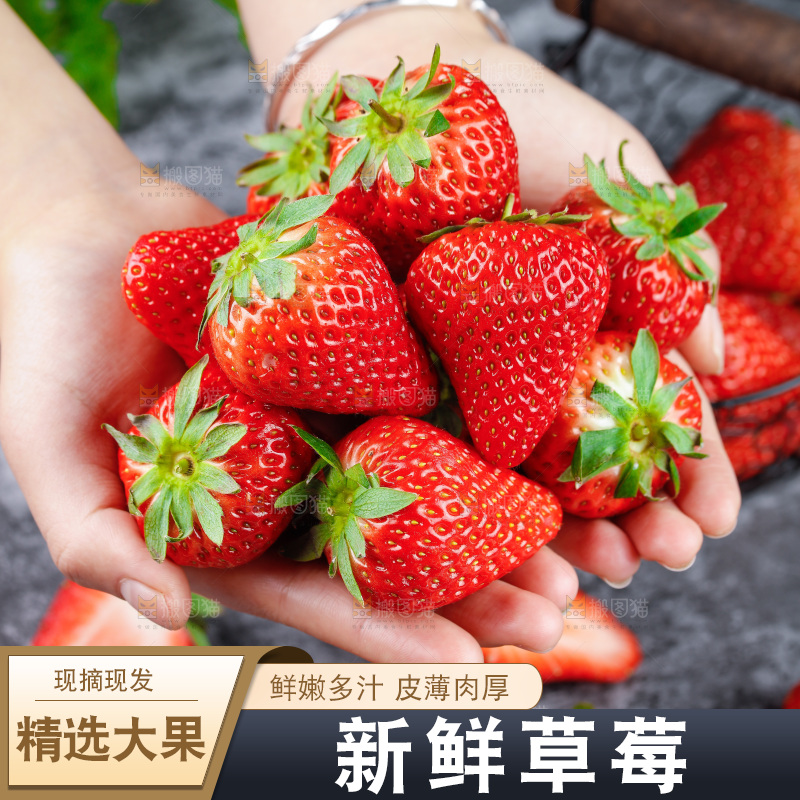 深底上的丹东草莓