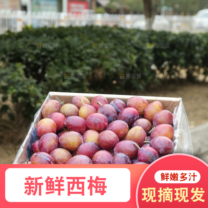 深底上的澳洲西梅