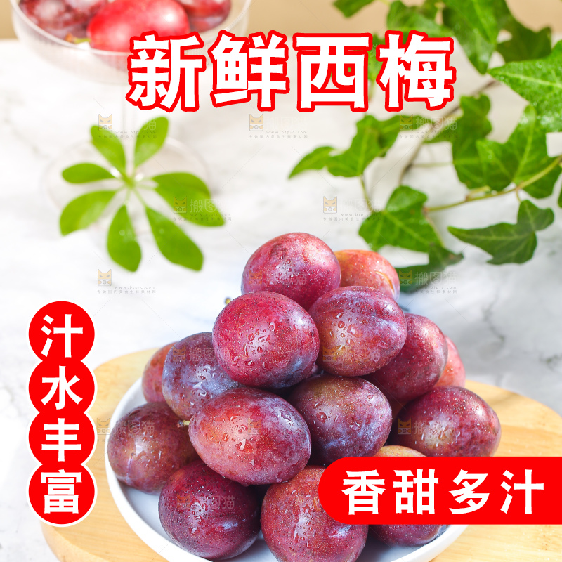 浅底上的澳洲西梅