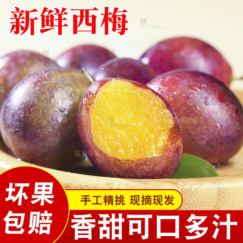 浅底上的澳洲西梅