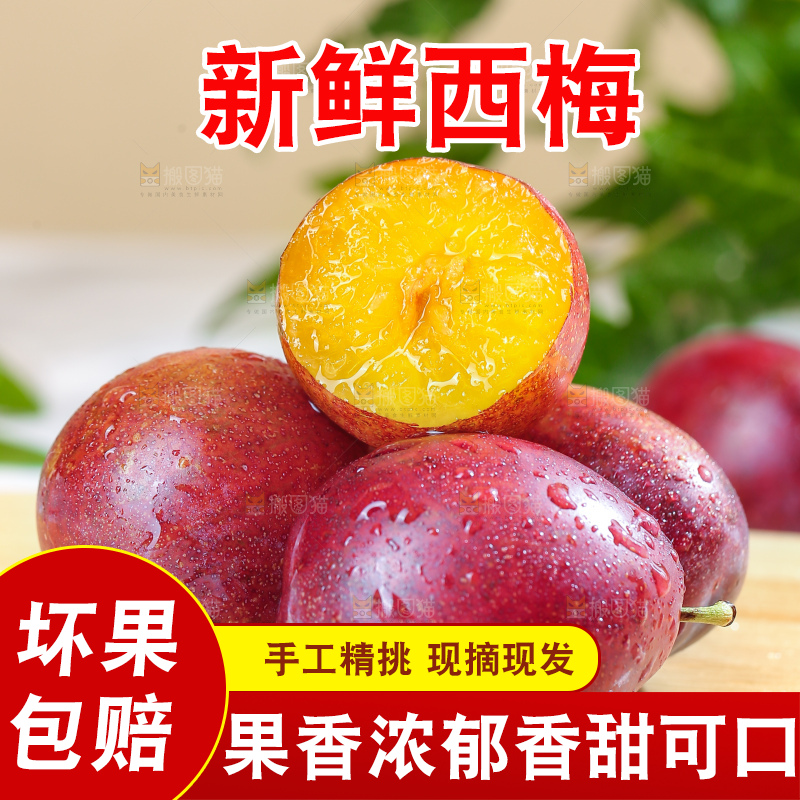 浅底上的澳洲西梅