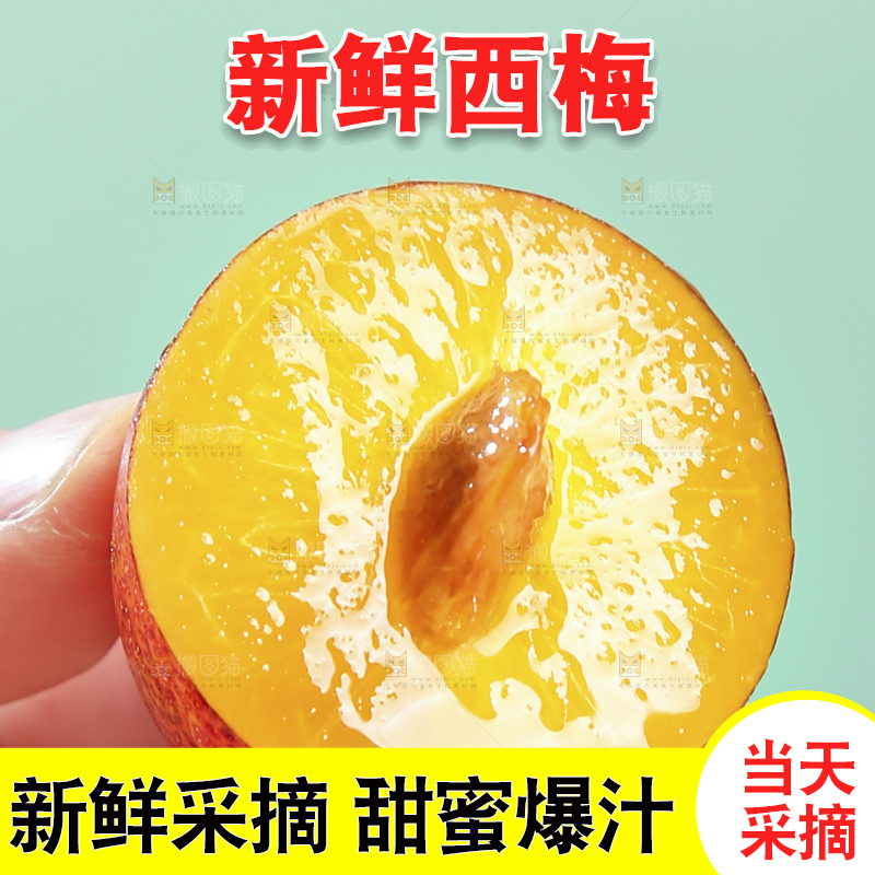 浅底上的澳洲西梅