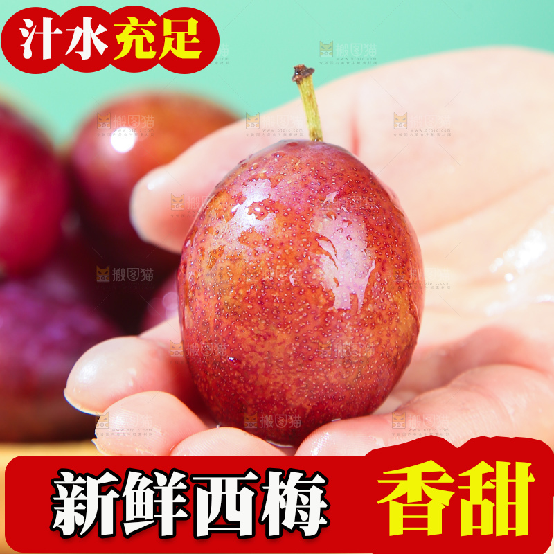 浅底上的澳洲西梅