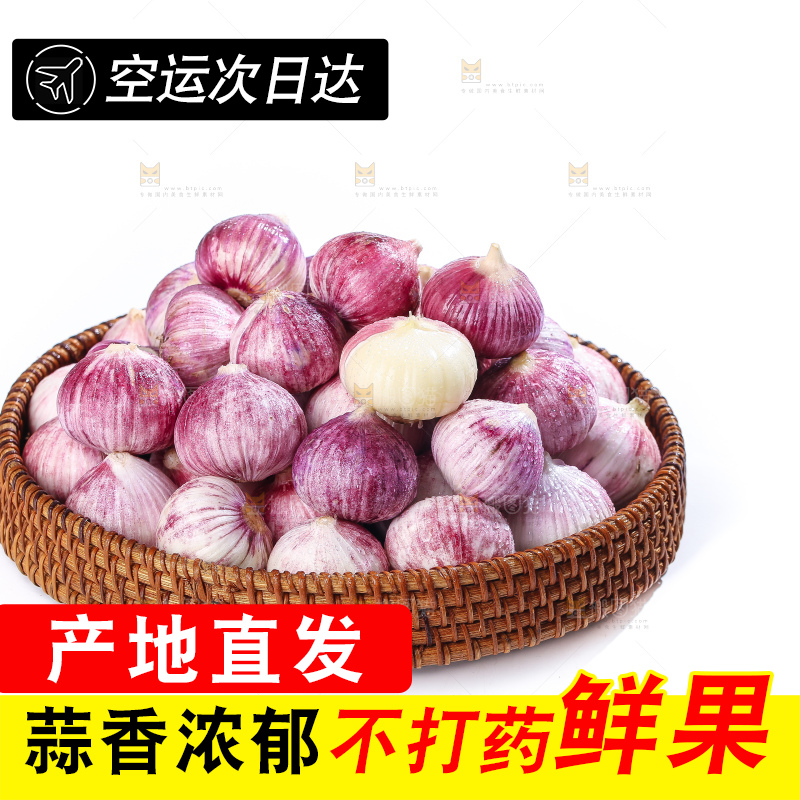 白底上的紫皮独头蒜