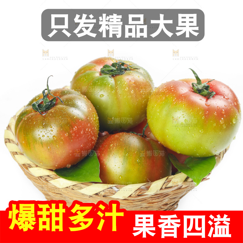 白底上的铁皮西红柿