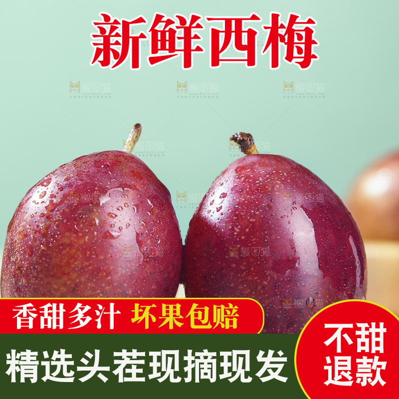 浅底上的澳洲西梅