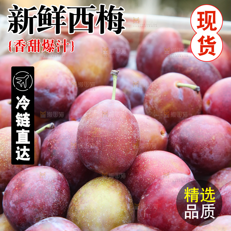 手里拿着澳洲西梅