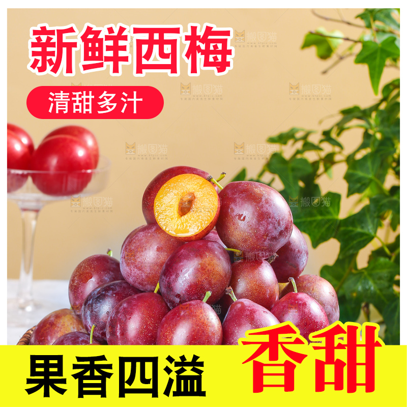 浅底上的澳洲西梅