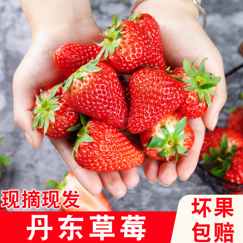 深底上的丹东草莓