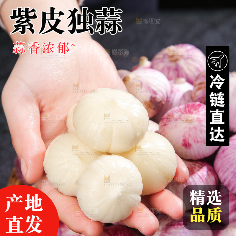 深底上的紫皮独蒜