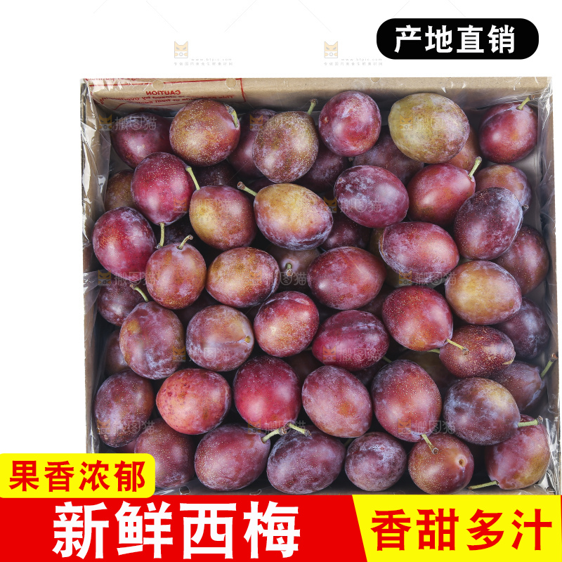 白底上的澳洲西梅