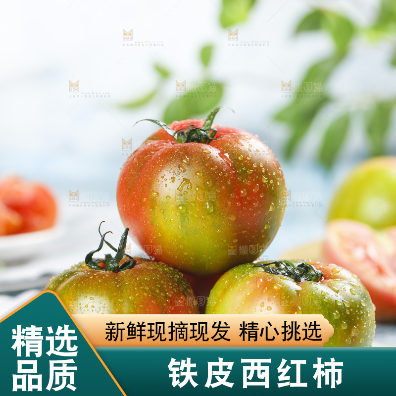 浅底上的铁皮西红柿