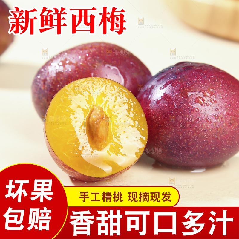 浅底上的澳洲西梅