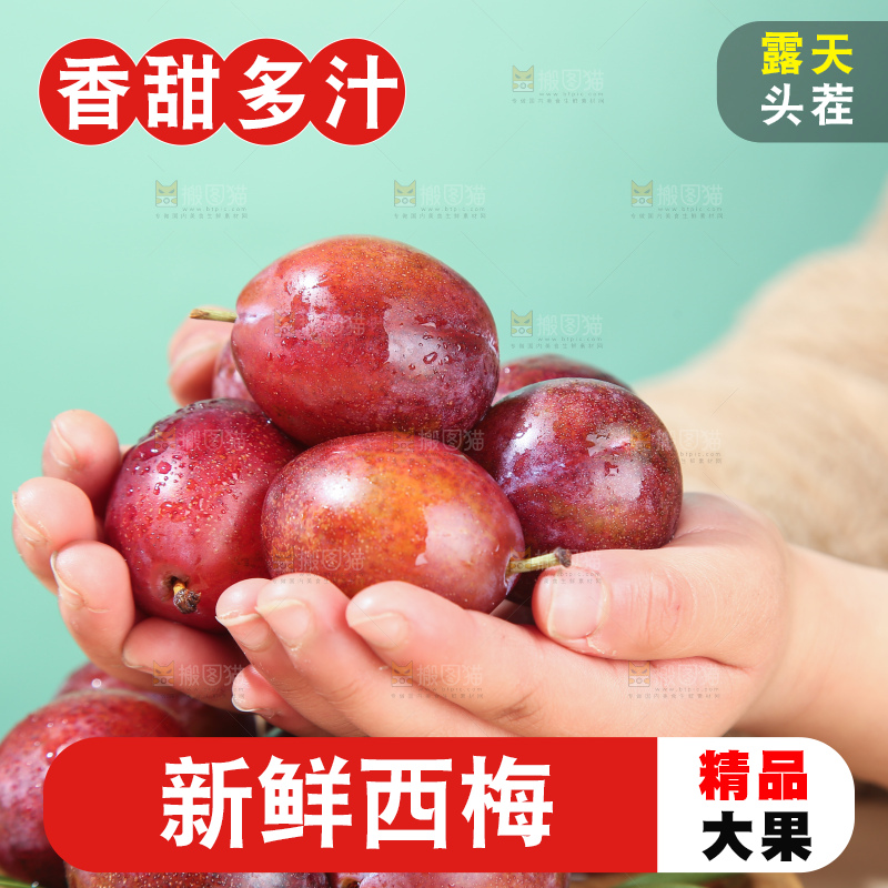 浅底上的澳洲西梅