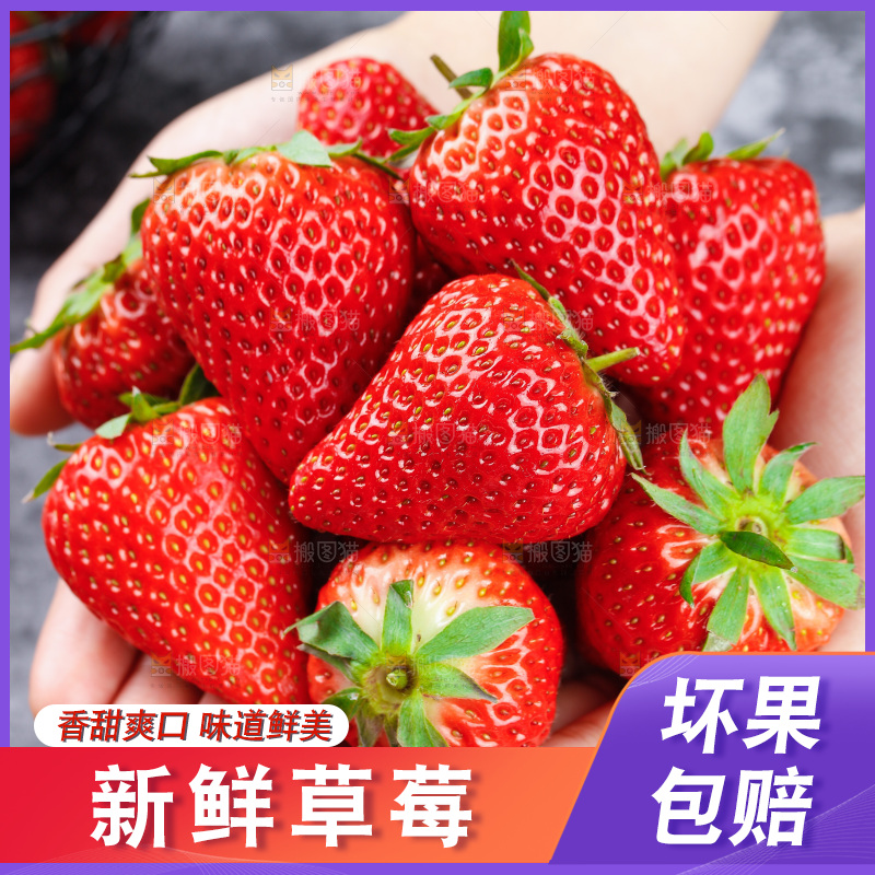 深底上的丹东草莓