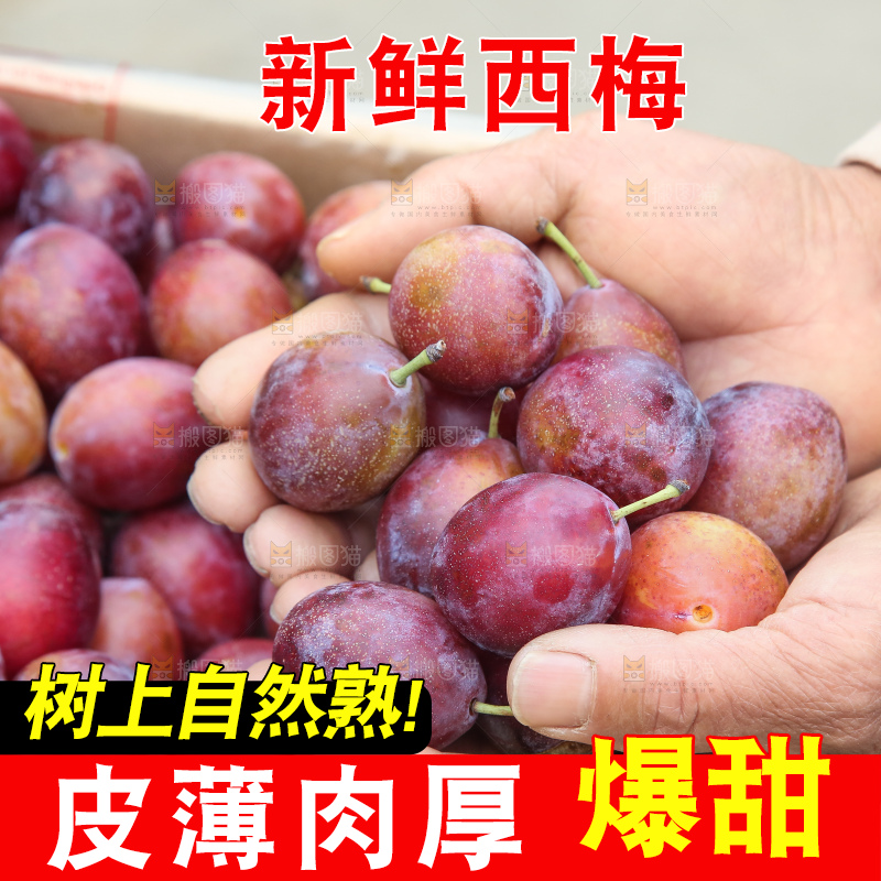 手里拿着澳洲西梅