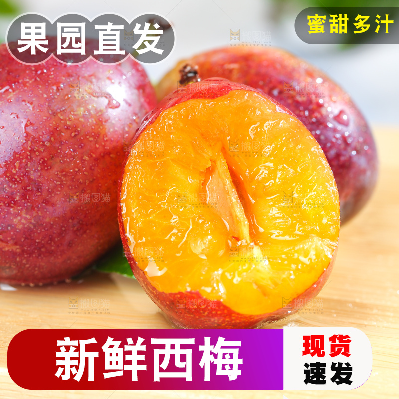 浅底上的澳洲西梅