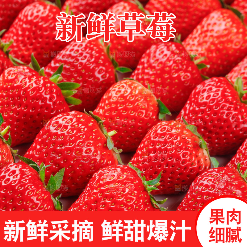 浅底上的丹东草莓