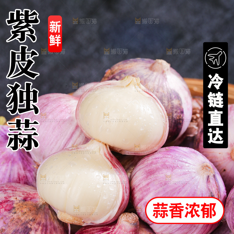深底上的紫皮独蒜
