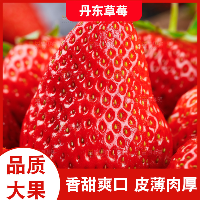 深底上的丹东草莓