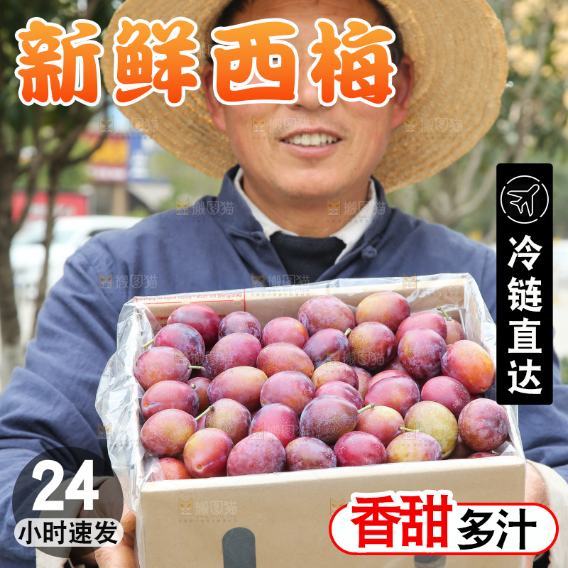 手里拿着澳洲西梅