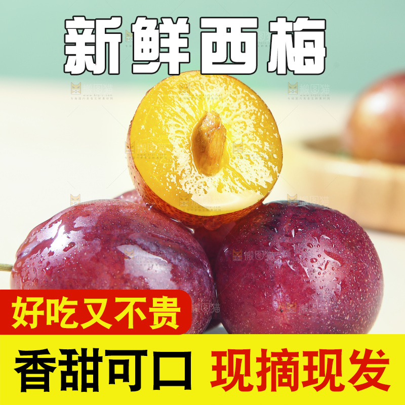 浅底上的澳洲西梅