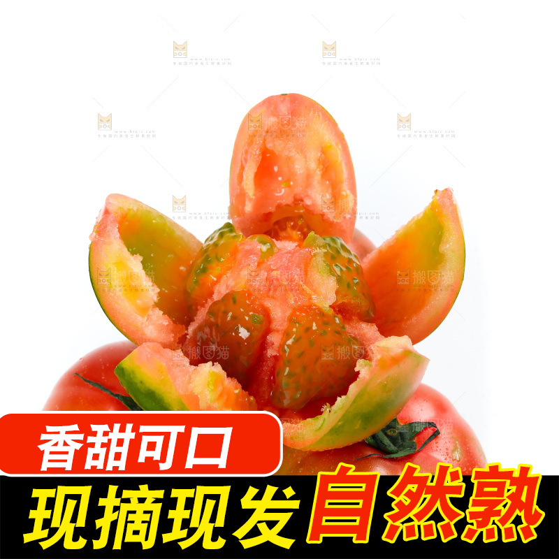 白底上的铁皮西红柿
