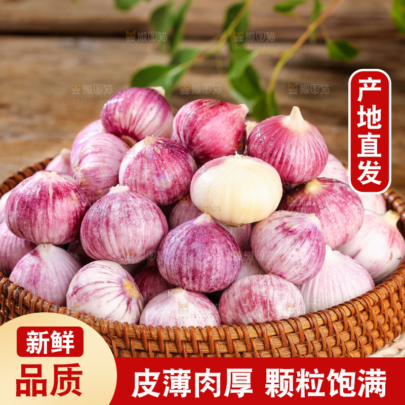 木底上的紫皮独头蒜