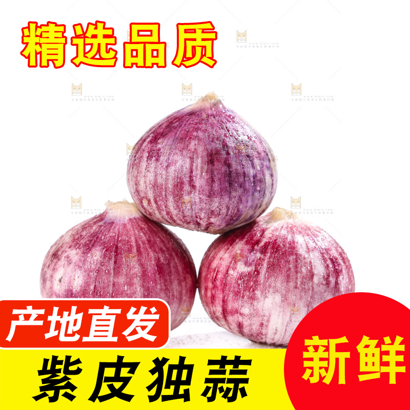 白底上的紫皮独头蒜