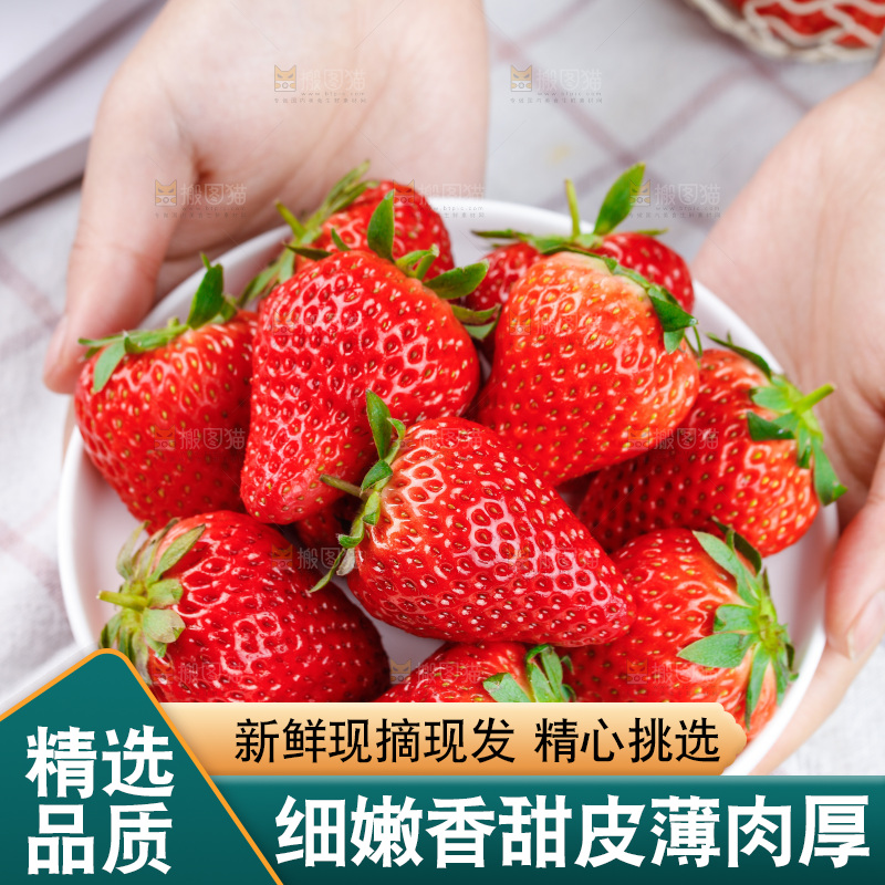 浅底上的丹东草莓