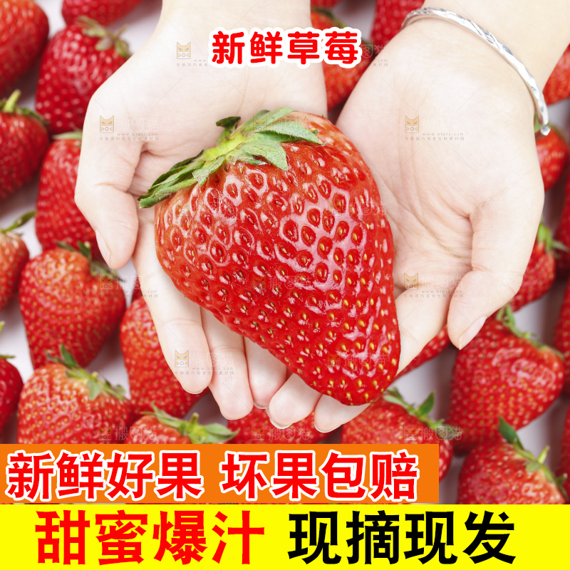 手里拿着丹东草莓
