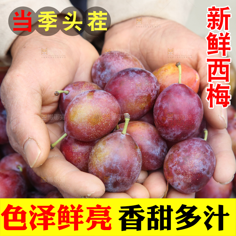 手里拿着澳洲西梅