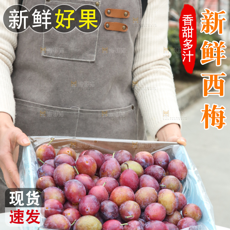 手里拿着澳洲西梅