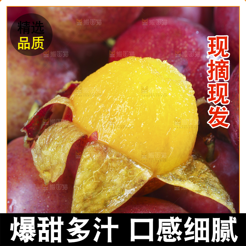 浅底上的澳洲西梅