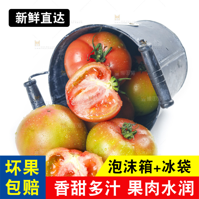 白底上的铁皮西红柿