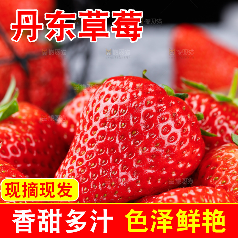 深底上的丹东草莓