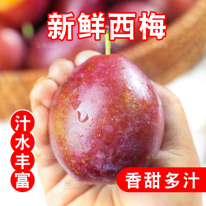 浅底上的澳洲西梅