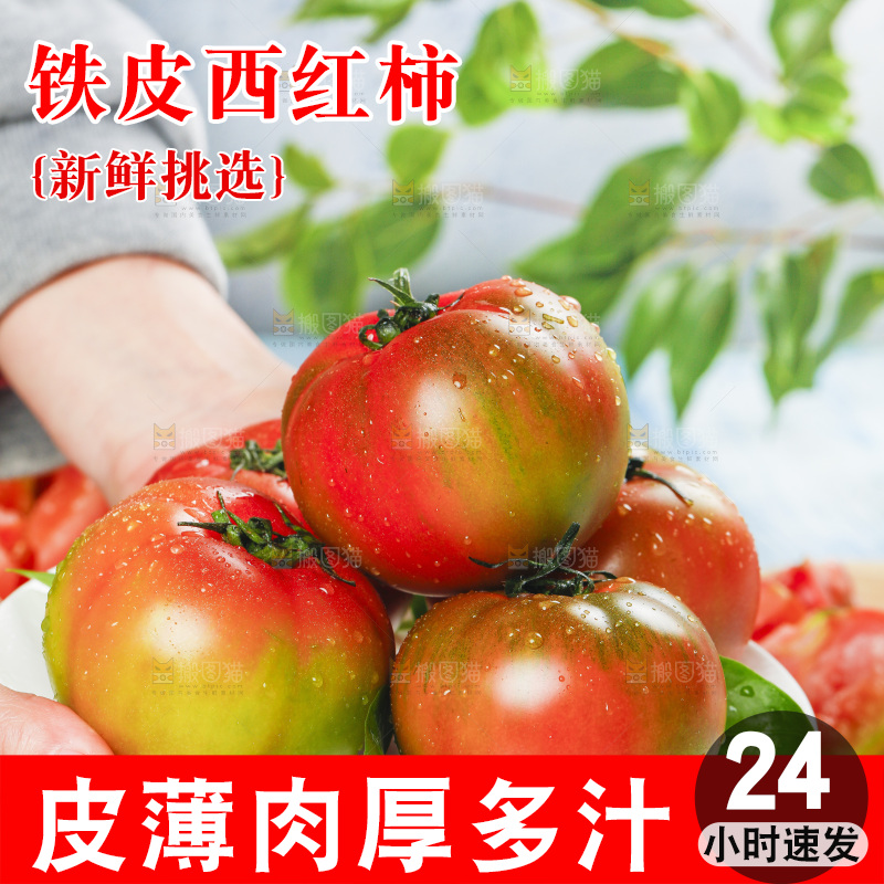 浅底上的铁皮西红柿