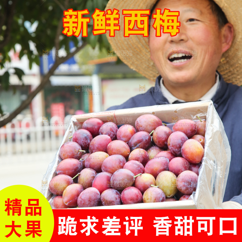 手里拿着澳洲西梅