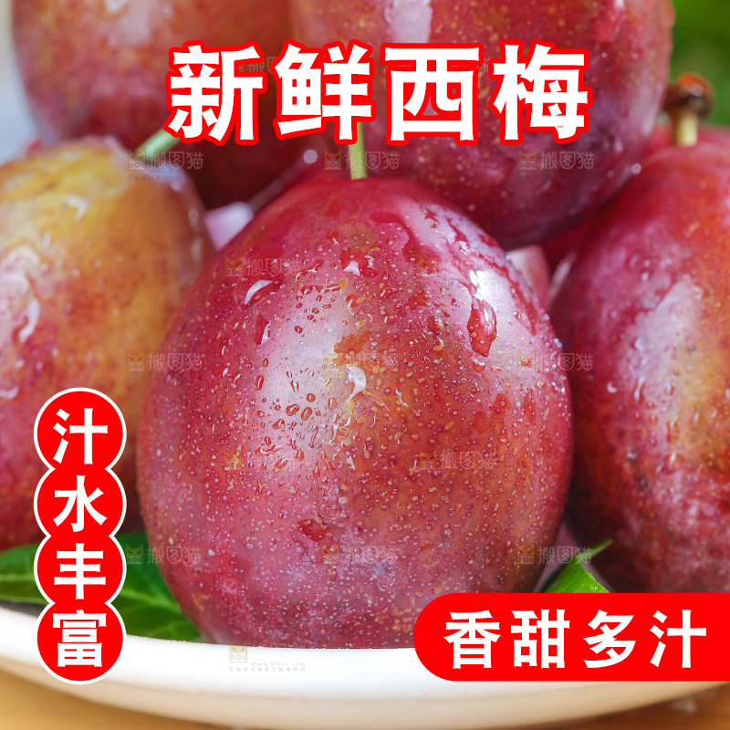 浅底上的澳洲西梅