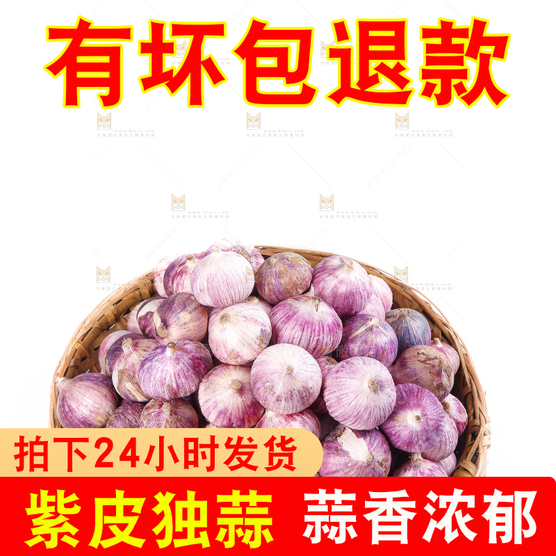 白底上的紫皮独头蒜